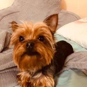 Meet your Posher, Isha